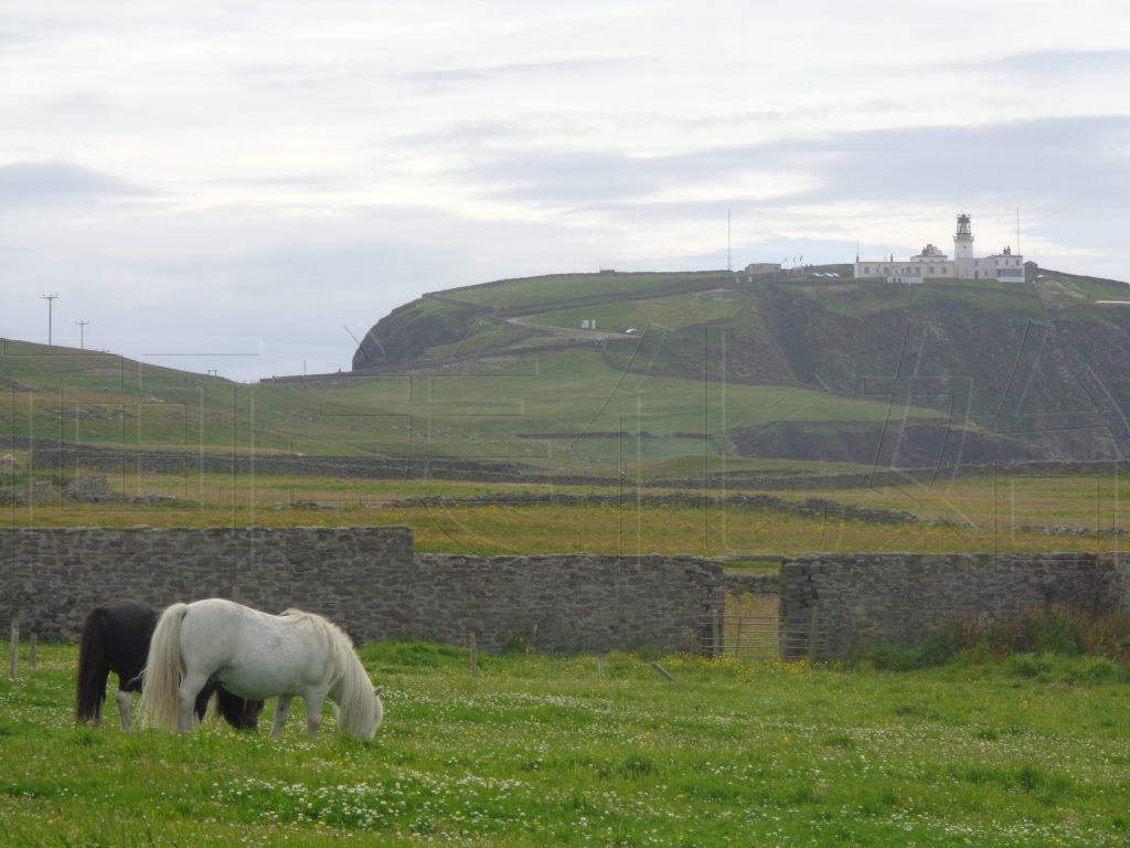 sumburgh-shetland